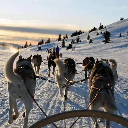 アパート Arctic Dream Escape L Stylish & Cozy L トロムソ